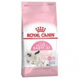 Royal Canin 2495400 mother & BabyCat34(BA34)幼貓BB貓糧-02kg