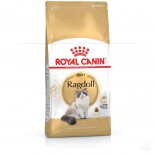 Royal Canin 2351300 Ragdoll(RD)布偶貓配方-2kg