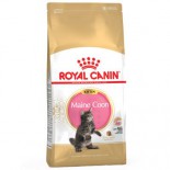 Royal Canin 2521100 Maine coon kitten 緬因幼貓配方貓糧-10kg