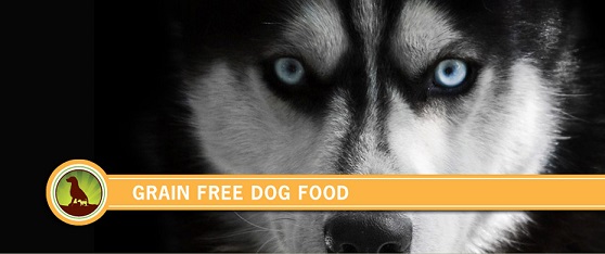 dog-food-grain-free.jpg