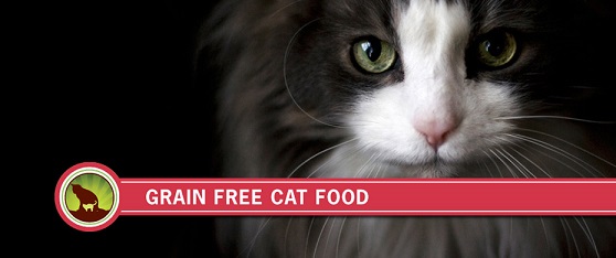grain-free-cat-food-holistic-blend-1.jpg
